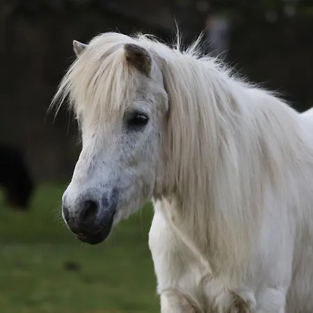 Farma Hájenka Tremosna